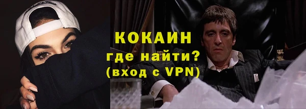 гашик Алексеевка