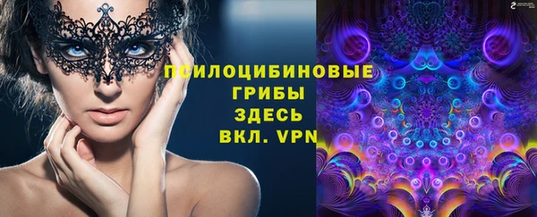 Альфа ПВП Алзамай