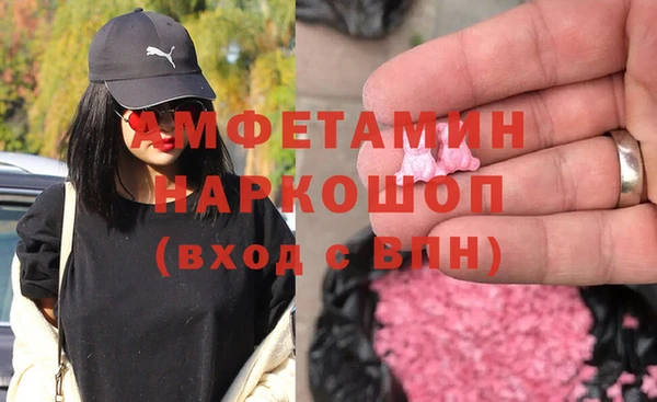 гашик Алексеевка