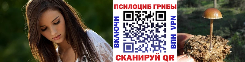 Галлюциногенные грибы Psilocybe Обнинск